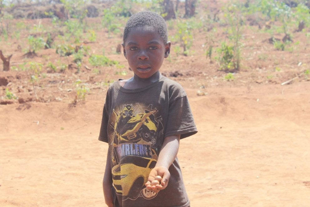 Chikondi Moyo holds our a macadamia nut, also known as a retirement crop and offering food security and economic security as well as helping with carbon damage mitigation.