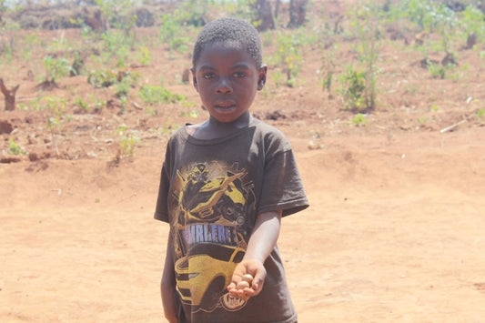 Chikondi Moyo holds our a macadamia nut, also known as a retirement crop and offering food security and economic security as well as helping with carbon damage mitigation.