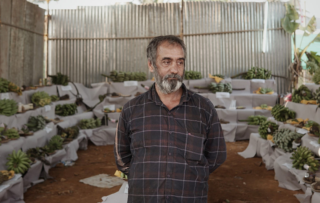The future of food, rooted in a festival of seeds