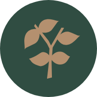 A brown plant icon on green background
