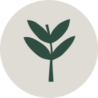 A green plant icon on grey background