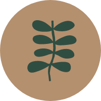 A green plant icon on brown background